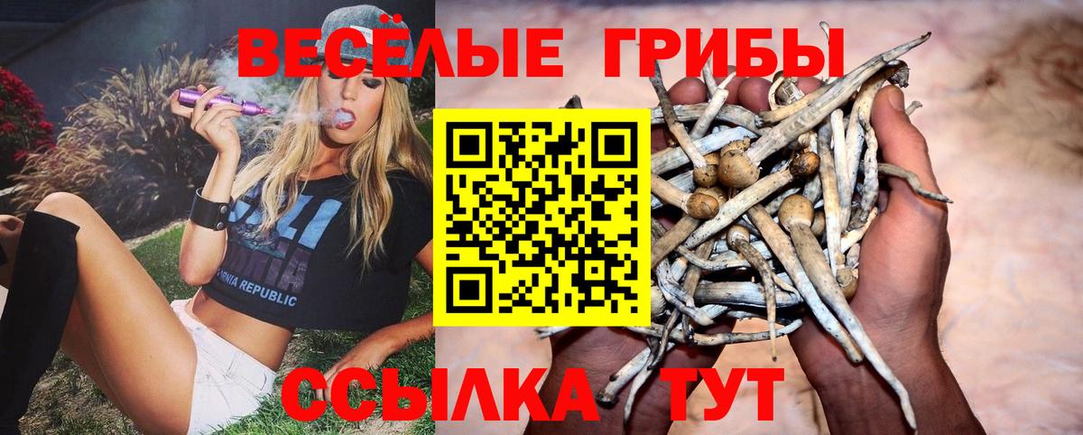 Псилоцибиновые грибы Cubensis  Вход с VPN  где продают   Галлюциногенные грибы Magic Shrooms  Пыть-Ях 